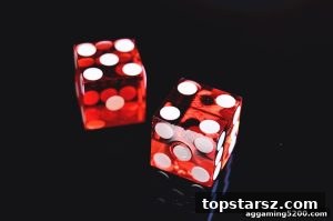AG真人 topstarsz